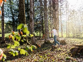 Familienhit Wasserpark - Familienurlaub im Gesäuse | 2 Nächte inkl. Eintritt in den Wasserpark 