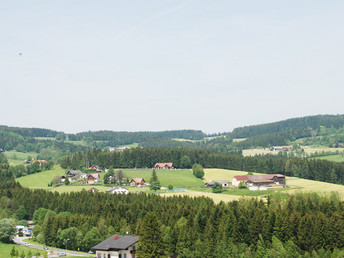 Weihnachten in der Oststeiermark inkl. Weihnachtsmenü | 5 Nächte