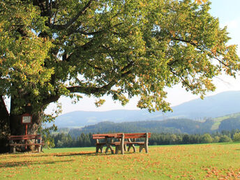 Herzlich-Gastlich-Steirisch im Joglland inkl. Halbpension | 3 Nächte