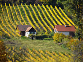 Relaxtage in Bad Radkersburg | 2 Nächte inkl. zweimaligem Thermeneintritt mit Verpflegung