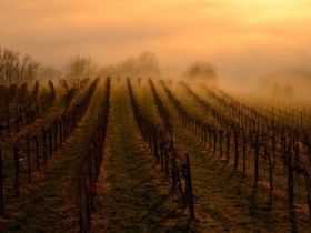 Relaxtage in Bad Radkersburg | 2 Nächte inkl. zweimaligem Thermeneintritt mit Verpflegung