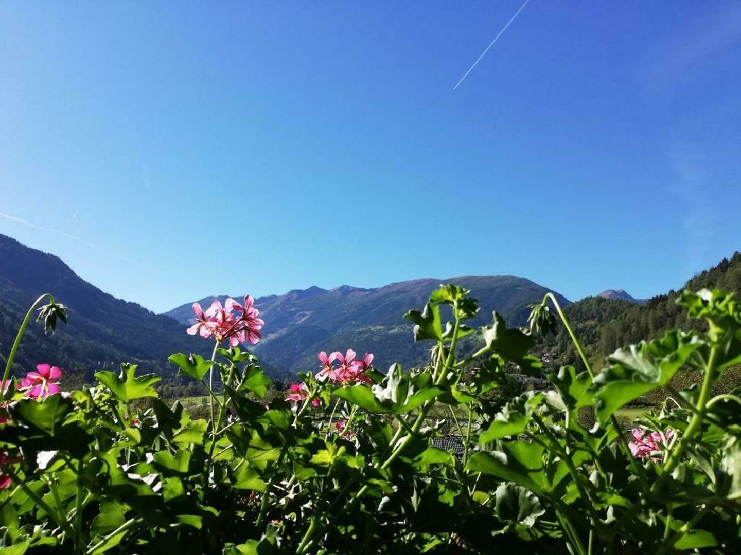 Entspannungsurlaub in den Hohen Tauern - Sonne tanken in Kärnten | 6 Nächte