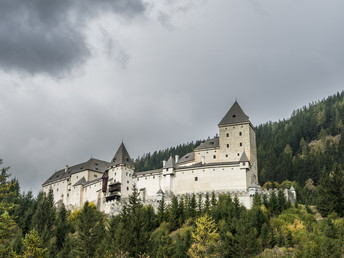 All inclusive light Urlaub inmitten der Salzburger Berge mit Ihrem Vierbeiner | 5 Nächte 