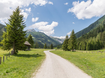 Wanderurlaub mit Ihrem Vierbeiner - Auszeit zwischen den Salzburger Bergen | 2 Nächte