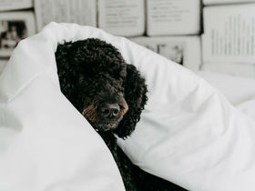 Wohlfühltage inkl. Privater Wellness | 3=2 Nächte