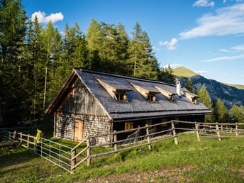 Spaß für die ganze Familie - Sommerurlaub inkl. 2 Kinder gratis im Lungau | 7 Nächte