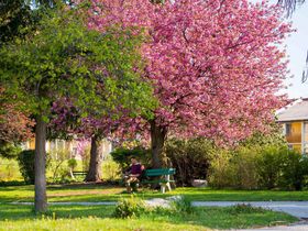 Auszeit in der Steiermark - Natur & Wellness | 7 Nächte