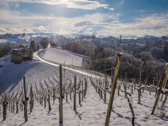 Winterurlaub in der Oststeiermark inkl. Genusscard & Wellness | 3 Nächte