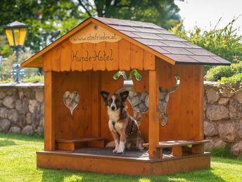 Hundstage im Sommer in der Ramsau - Kurzurlaub mit Ihrem Vierbeiner | 4 Nächte