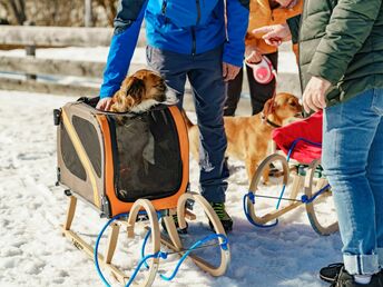 Hundstage im Sommer in der Ramsau - Kurzurlaub mit Ihrem Vierbeiner | 4 Nächte