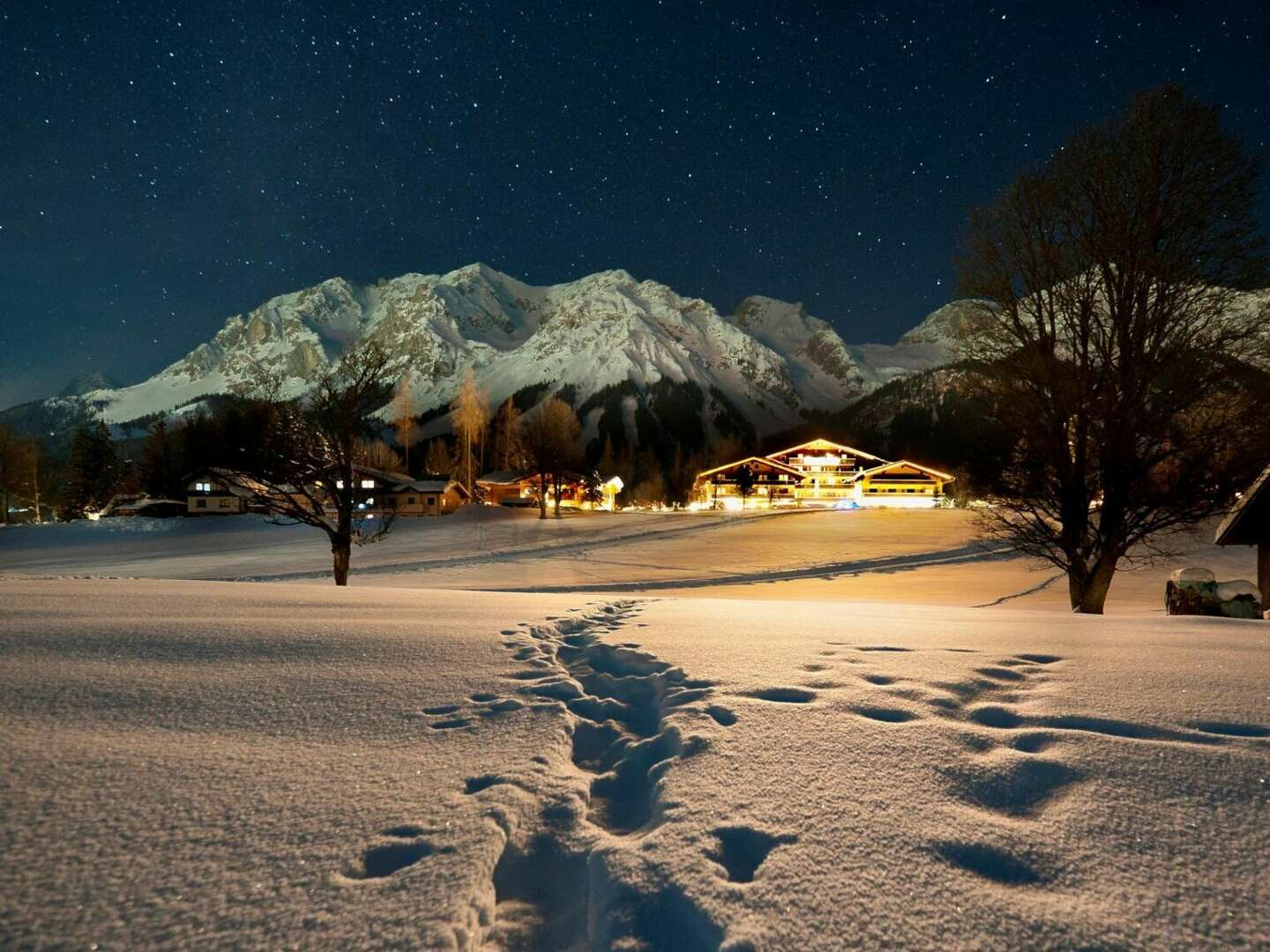 Hundstage im Sommer in der Ramsau - Kurzurlaub mit Ihrem Vierbeiner | 4 Nächte