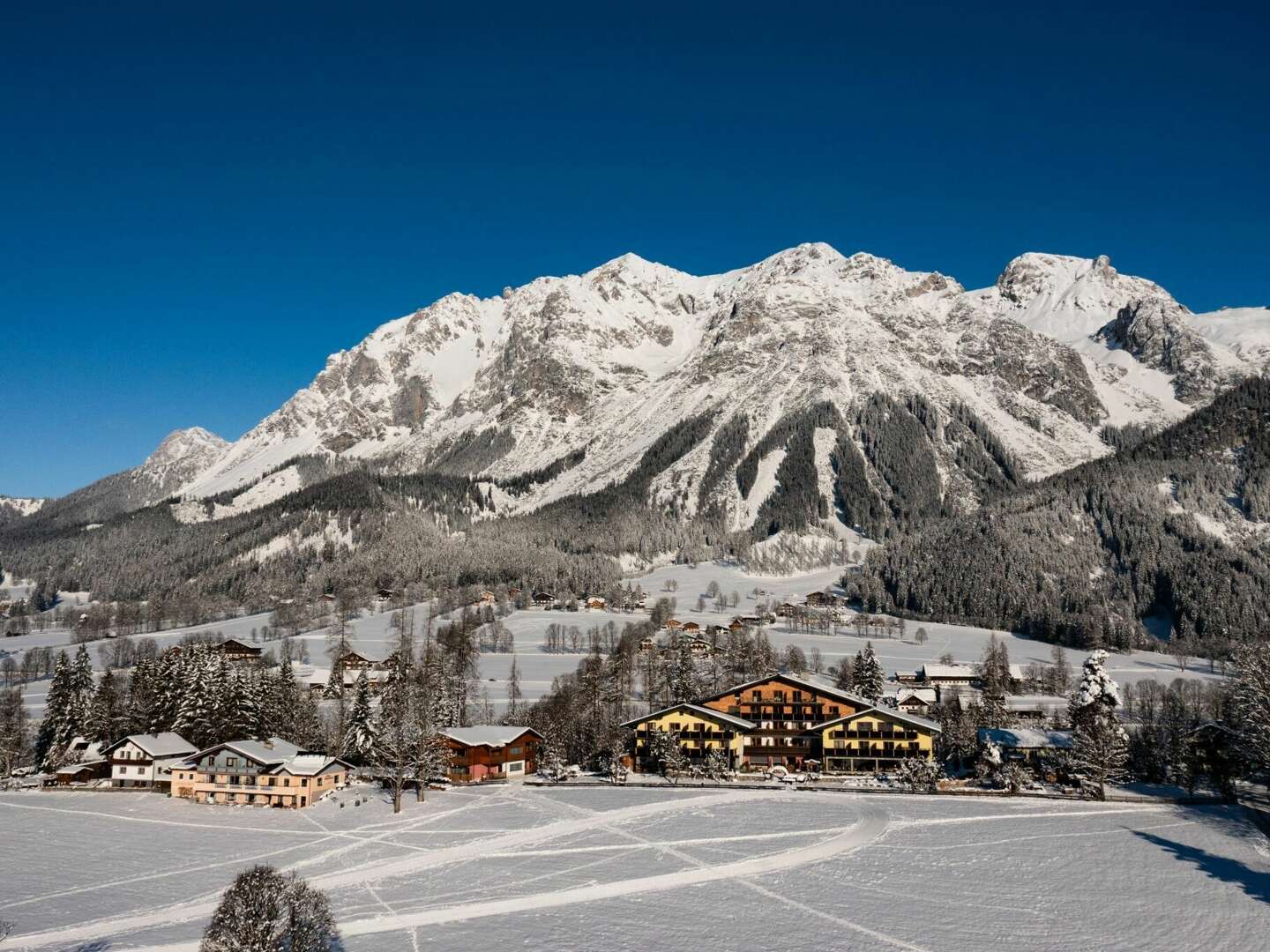 Hundstage im Sommer in der Ramsau - Kurzurlaub mit Ihrem Vierbeiner | 4 Nächte