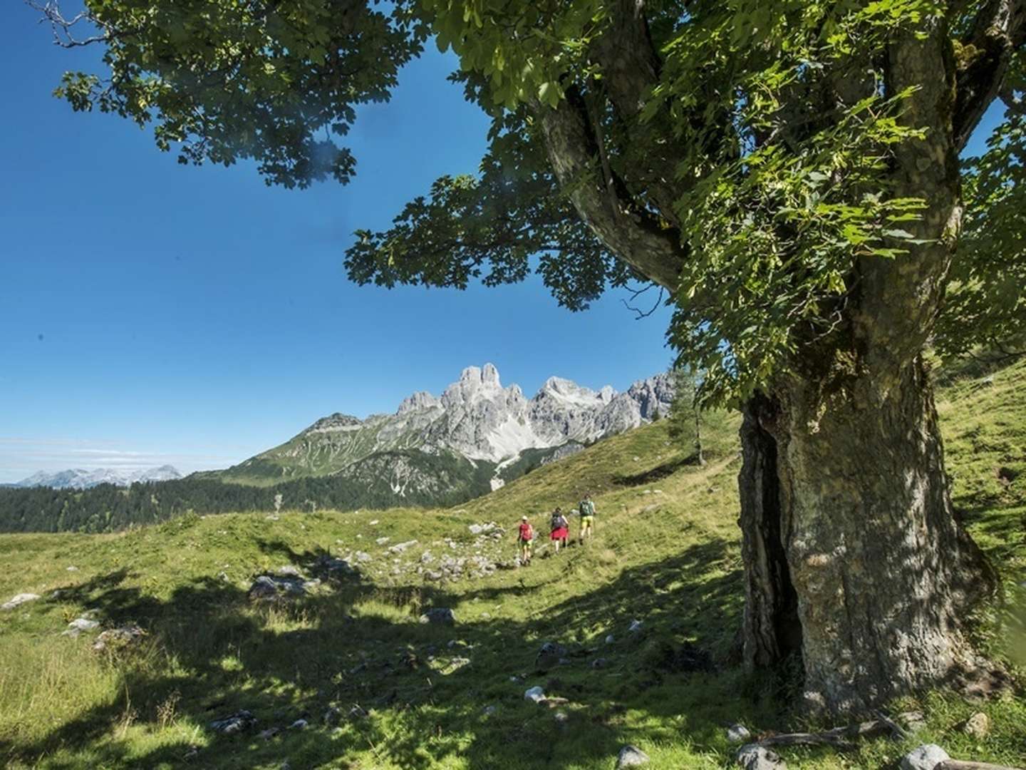 Auszeit für dich - Erholungsurlaub inmitten der Berge | 2 Nächte