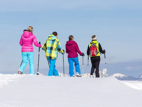 Auszeit mit Freunden | Ski & Fun | 2 Nächte 