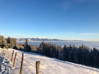 Erholungsurlaub - Auszeit mit Privatstrand am Klopeiner See | 5 Nächte