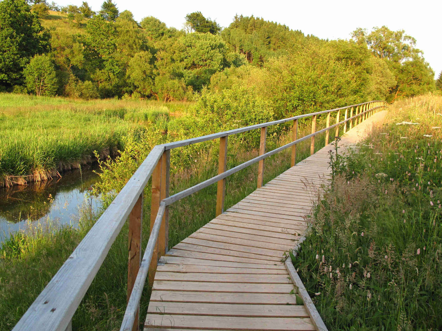 Natur Wochenende am Bütgenbacher See | 5 Tage  