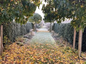 Valentinstag-Special im Landhaus inkl. Candle-Light-Dinner | 3 Tage  2