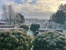 Valentinstag-Special im Landhaus inkl. Candle-Light-Dinner | 3 Tage  2