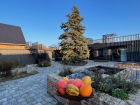 Valentinstag-Special im Landhaus inkl. Candle-Light-Dinner | 3 Tage  2