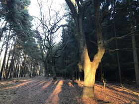 Ruhiger Wochenausklang zum Krafttanken an den Spreenwiesen