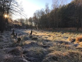 Ruhiger Wochenausklang zum Krafttanken an den Spreenwiesen