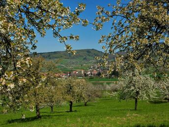 Romantik Auszeit 7 Tage  im Markgräflerland - inkl. Therme