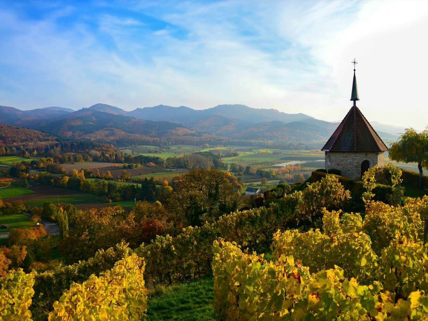 Wein und Genuß | 6 Tage im Markgräflerland 