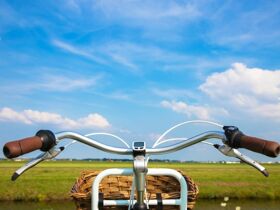 Schönes Land in Sicht! 5 Tage mit dem Fahrrad durchs Markgräflerland