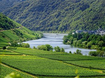 Die Mosel entdecken | 4 Tage