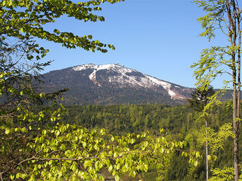 Wohlfühl-Zeit im Bayerischen Wald - 7 = 6