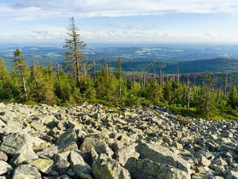 Wohlfühl-Zeit im Bayerischen Wald - 7 = 6