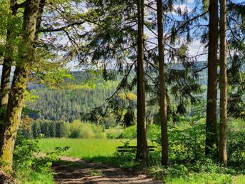 Waldwandern de luxe – 4 Tage Bayerischer Wald
