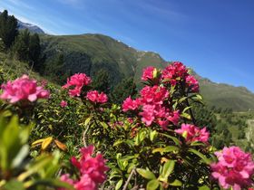 Perfekte Skitage in Nauders inkl. Abendmenü | 2 Nächte
