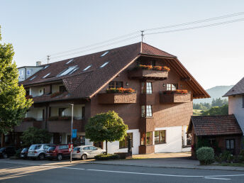 Für Naturgenießer- Schwarzwald mit Baumwipfelpfad