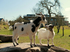 Silvester 2026 in Nordfriesland