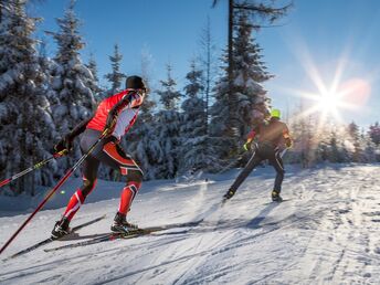 Blockline - DAS Bike Erlebnis im Erzgebirge!