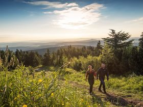 7 Tage der Hektik entfliehen - 