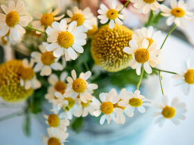 Romantische Wellness Auszeit am Weissensee inkl. Aromaölmassage | 2 Nächte