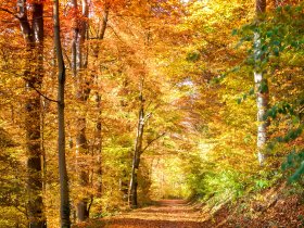3 Tage - Aktive Erholung im Herbst in Barsinghausen bei Hannover