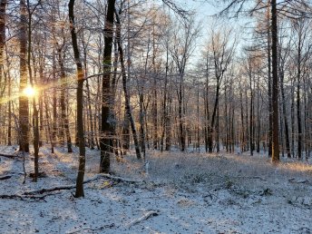 2 Tage - Fit durch den Winter in Barsinghausen bei Hannover