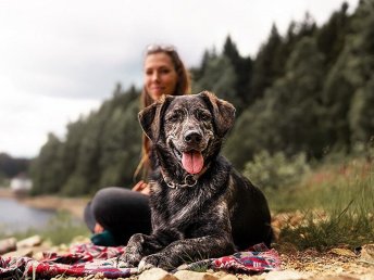 Urlaub mit „VIER“-Pfoten im Ötztal | 5 Nächte