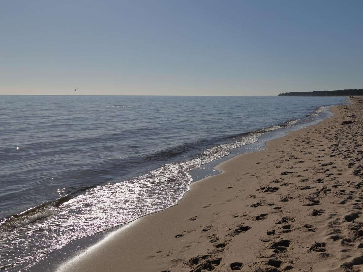 Beste Freundinnen auf Usedom