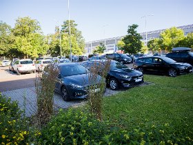 Bier Pilsen Paket - 3 Tage