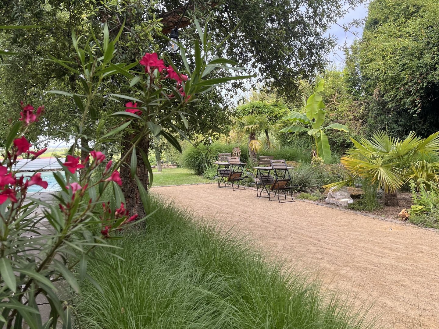 Mandelblütenzauber in der Villa Delange