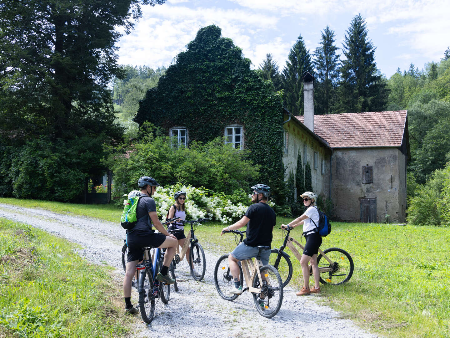 Waldviertler Kultururlaub - Auszeit beim Stausee Ottenstein | 5 Nächte