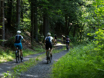 Waldviertler E-Bike Abenteuer in Ottenstein inkl. geführter Tour & regionaler Verkostungen|3 Nächte 