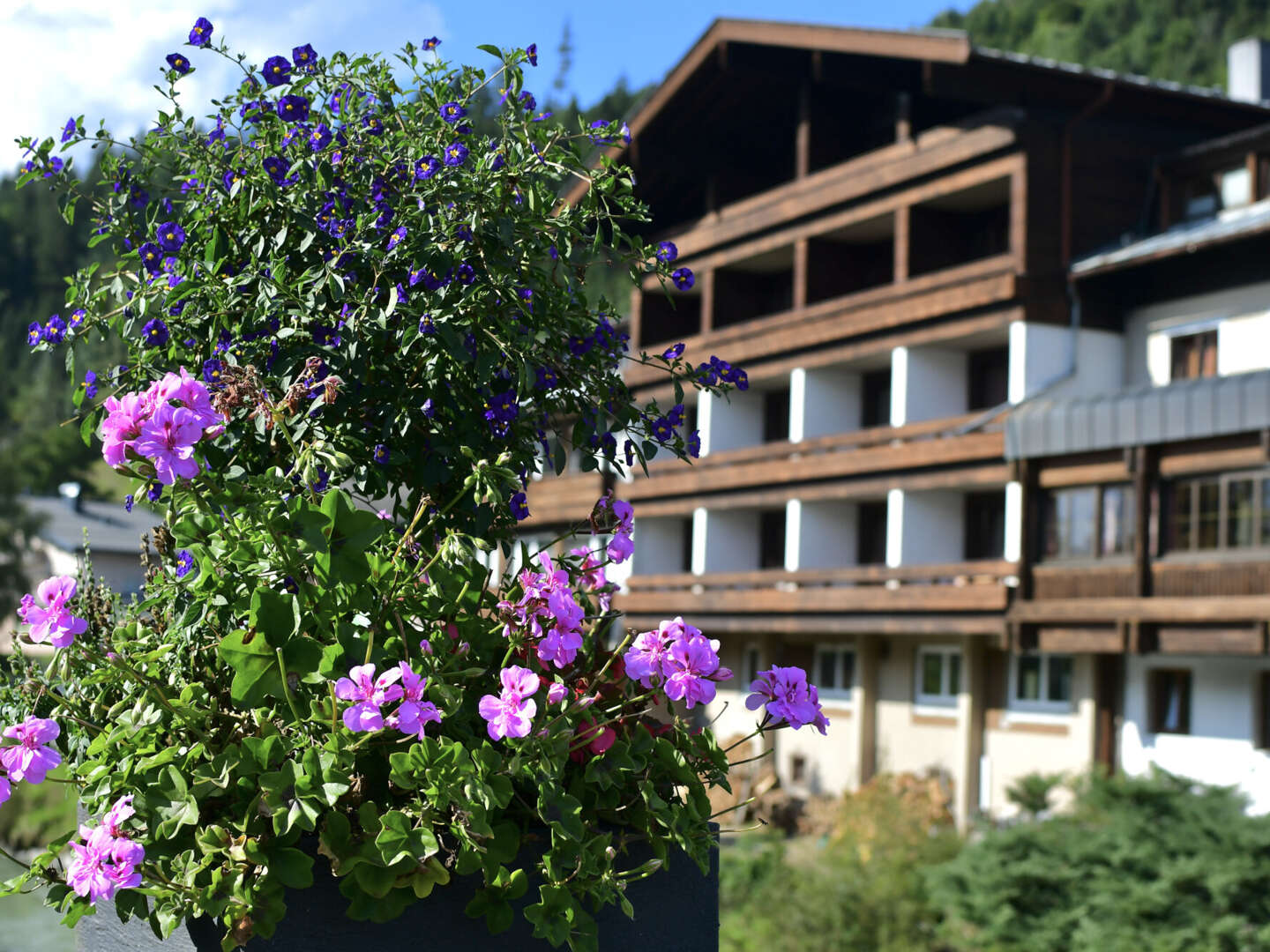 Erholsame Auszeit in den Salzburger Hohe Tauern inkl. Frühstück | 2 Nächte