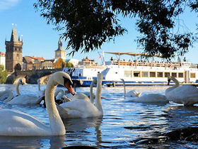 Abenteuer Break - 3 Tage in Prag | 2 Nächte