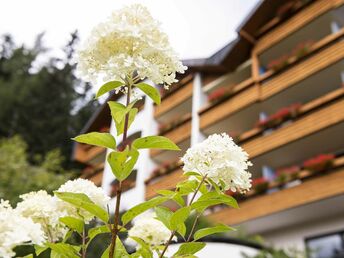 Auszeit in den Bergen für Groß & Klein - Frühstücksspezial im Hotel St. Oswald | 3 Nächte