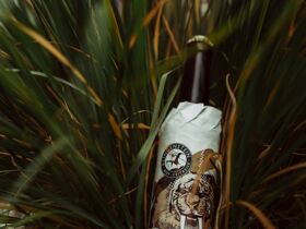 Fahrtwind genießen im Bike Eldorado